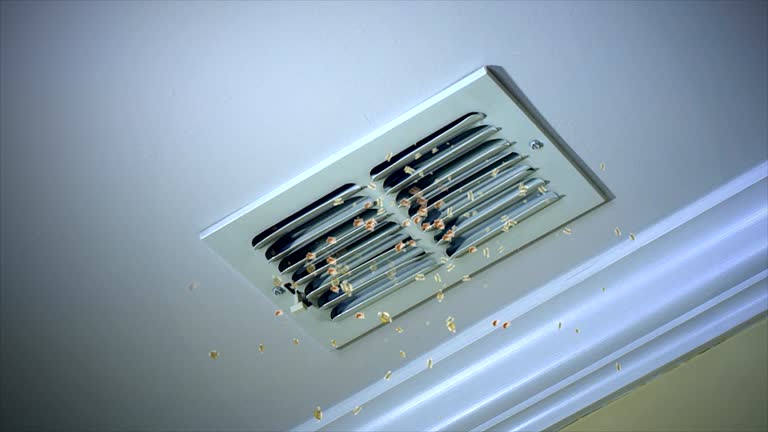 Best Air Duct Cleaning Near Me  in Mount Gay Shamrock, WV
